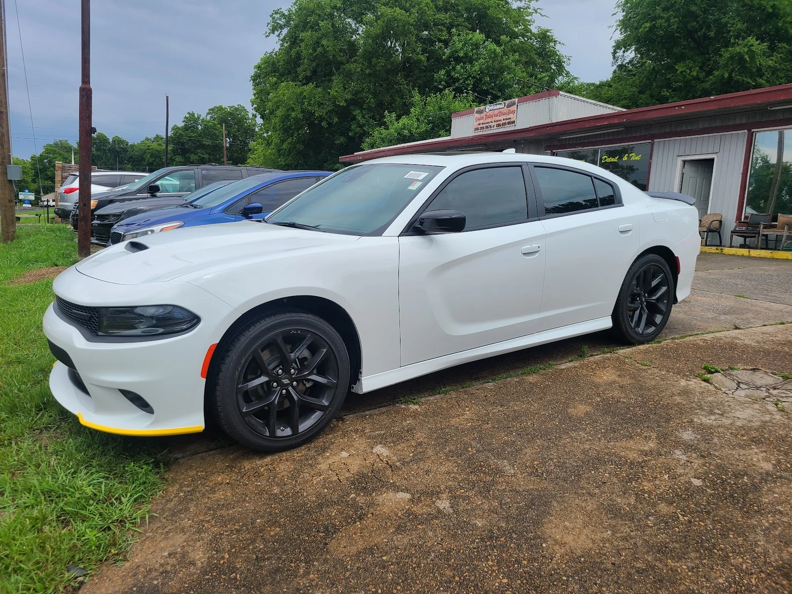 Mandys Tints in Gadsden, AL